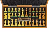 Elektroniczne szachy iChessOne Classic