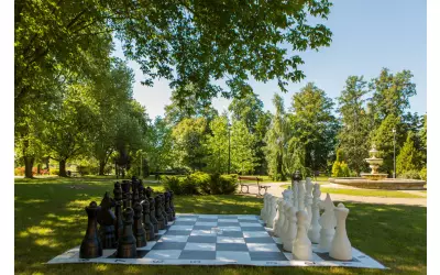 GRY PLENEROWE (OGRODOWE, XXL, PARKOWE)