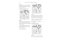 Analyzing the Chess by Boris Gulko and Dr. Joel R. Sneed (miękka okładka)