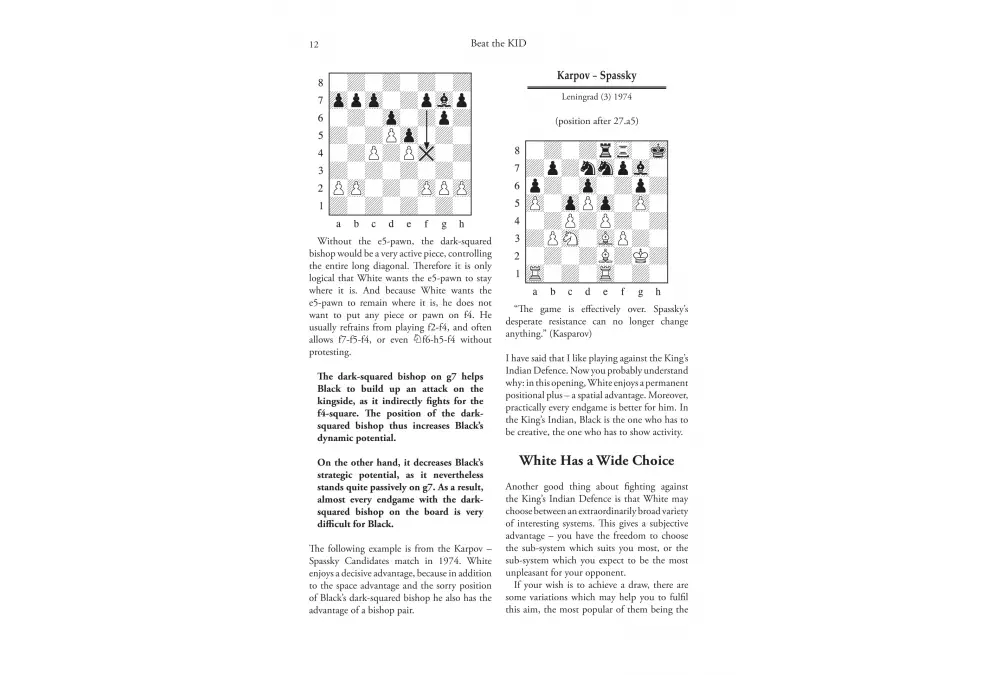 Beat the KID - by Jan Markos (miękka okładka)