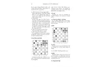 Champions of the New Millennium - Ftacnik, Kopec and Browne (miękka okładka)