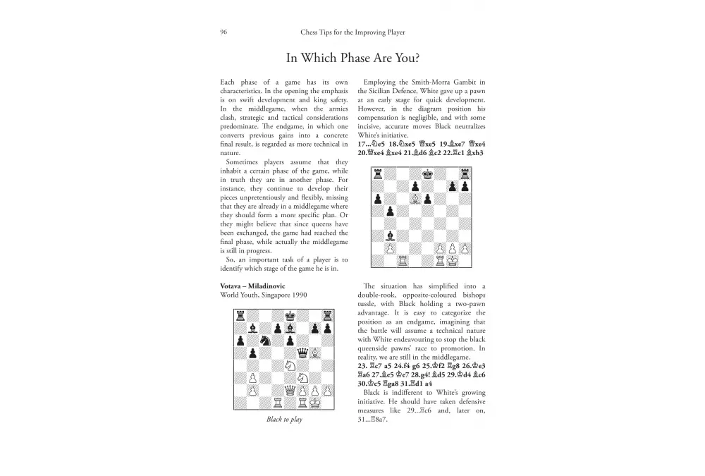 Chess Tips for the Improving Player by Amatzia Avni (miękka okładka)