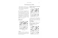 Chess Tips for the Improving Player by Amatzia Avni (miękka okładka)