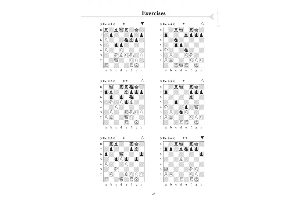 Chess Evolution 2 by Artur Yusupow (twarda okładka) Revised Edition
